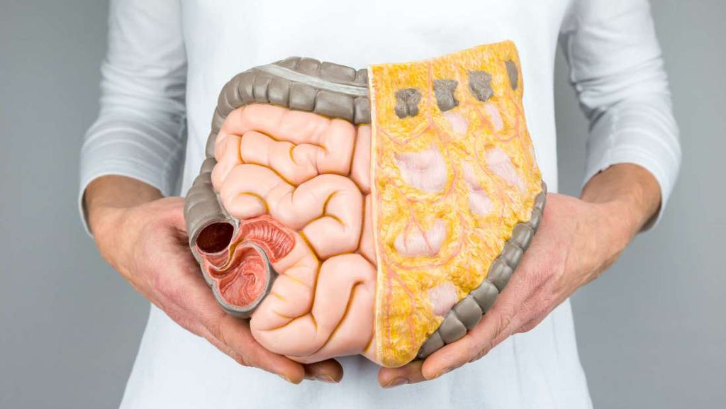 QUICK HEALTH TIPS: Candidiasis