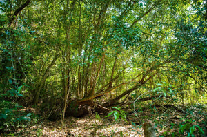 #DrRuizHealthTips: The top three supplements against the current health threat...